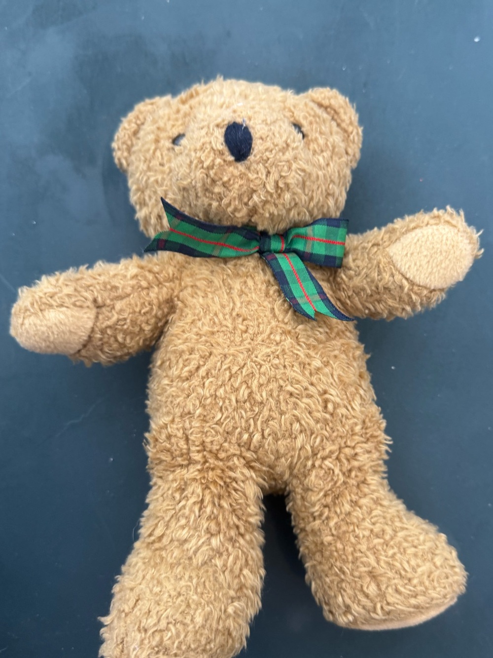 VINTAGE Toy Company VTG 90s Bear Plush Stuffed Animal Pocket Petite Small Plaid